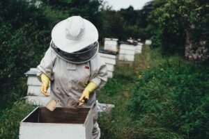 Ripening the Honey