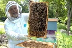 Keeping the Honey Stored