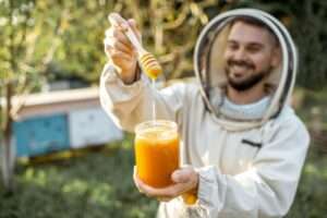 Harvesting the Honey